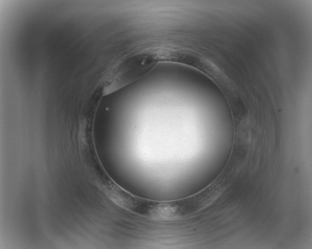 X0000068310217200604241411