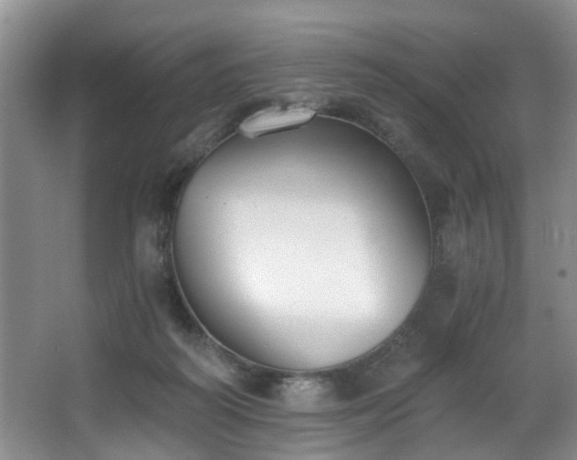 X0000068310218200604241411