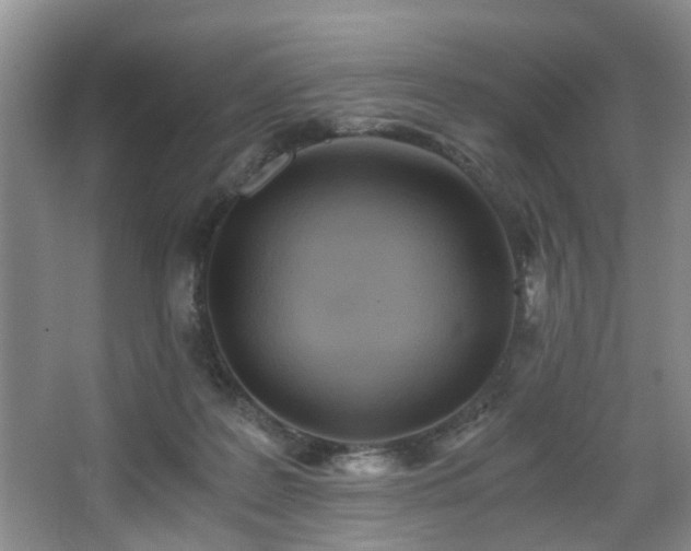 X0000068310219200604241411