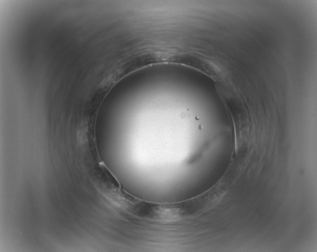 X0000068310221200604241411