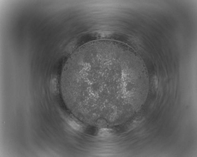 X0000068310222200604241411