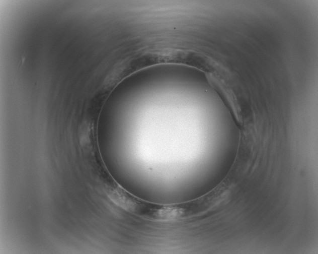 X0000068310225200604241411