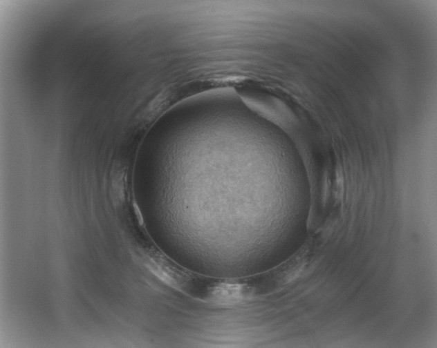 X0000068310227200604241411