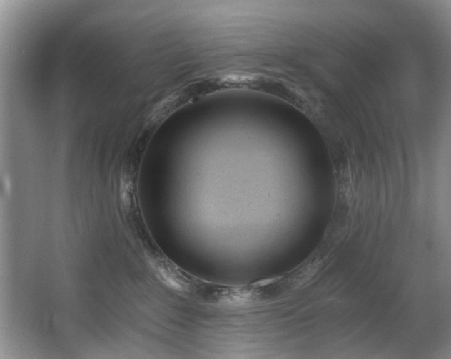 X0000068310235200604241411