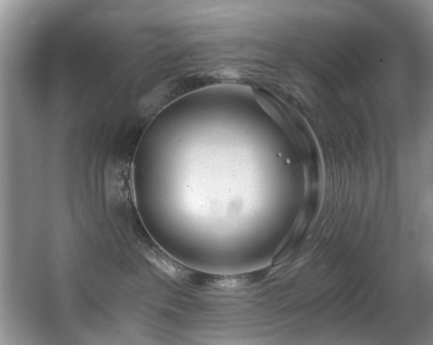 X0000068310237200604241411