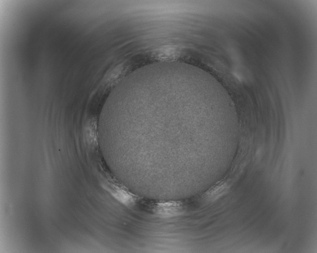 X0000068310240200604241411