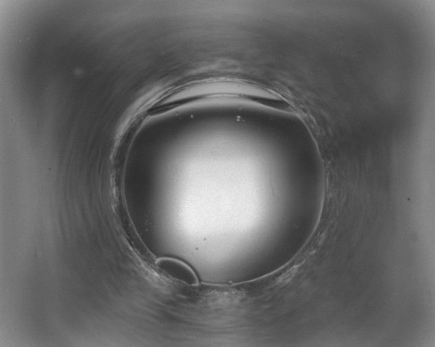 X0000068310245200604241410