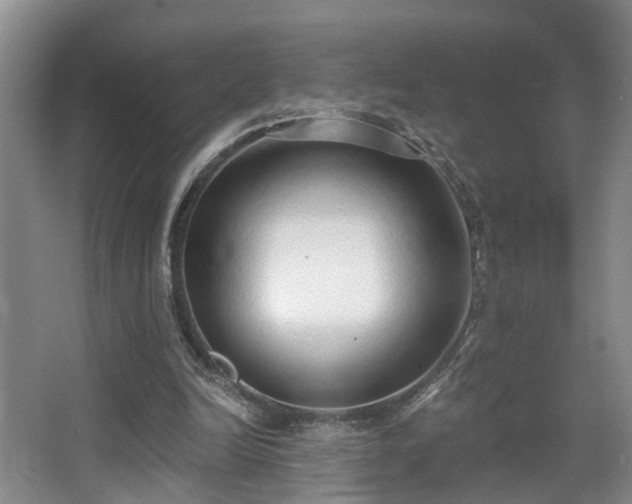 X0000068310246200604241410