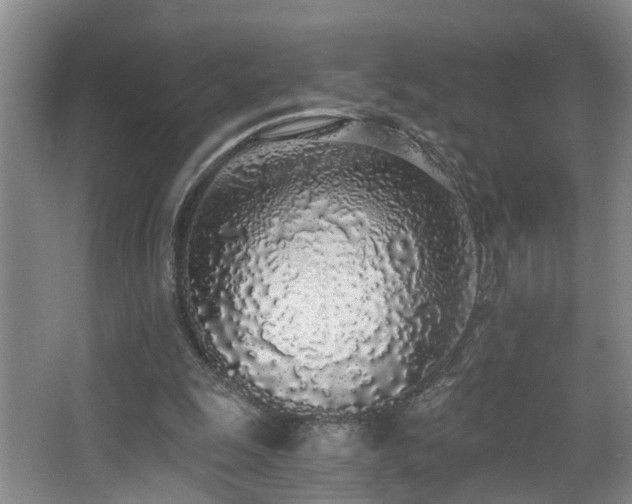 X0000068310247200604241410