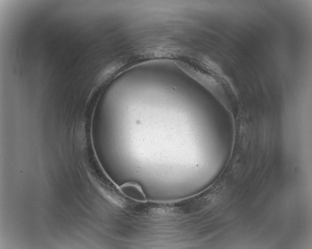 X0000068310250200604241410