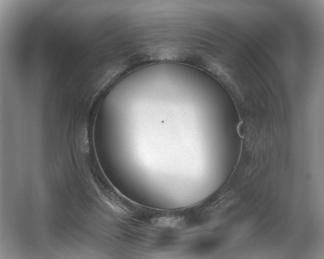 X0000068310251200604241410