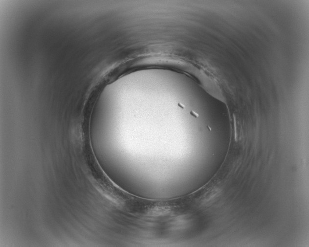 X0000068310252200604241410