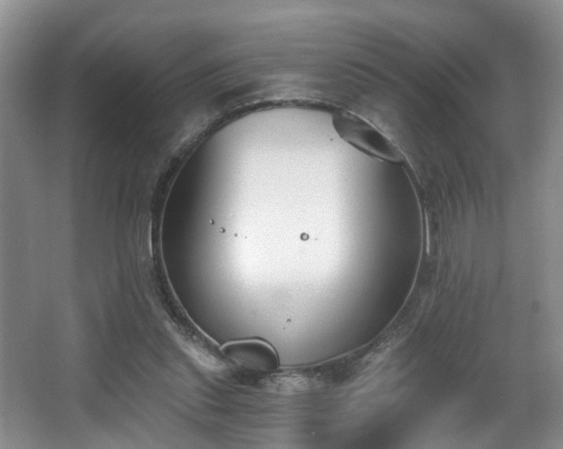 X0000068310253200604241410