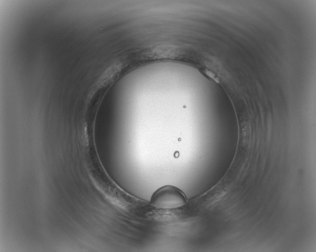 X0000068310254200604241410