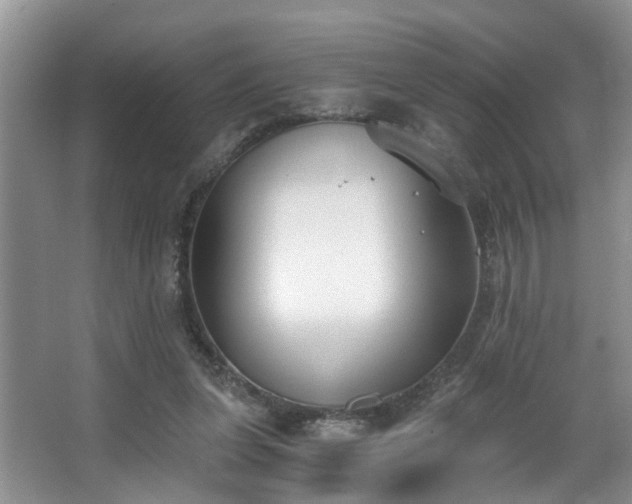 X0000068310255200604241410