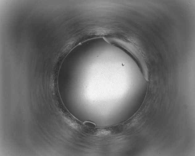 X0000068310257200604241410