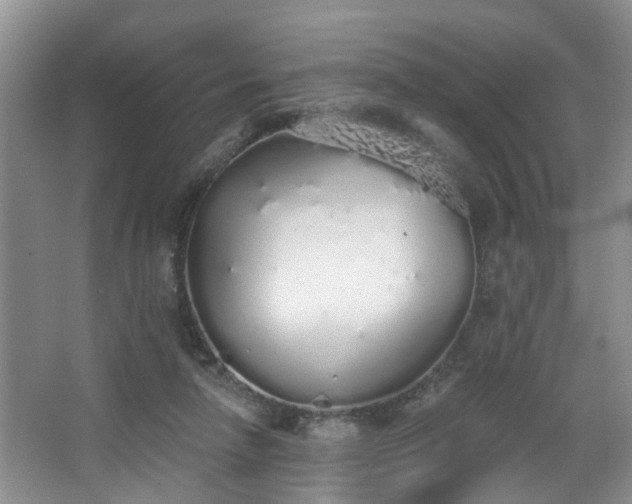 X0000068310258200604241410