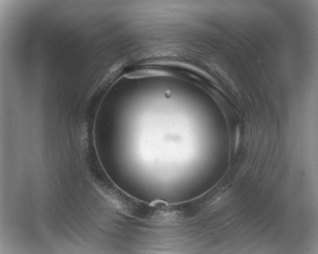 X0000068310260200604241411