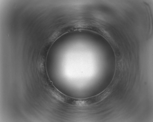 X0000068310265200604241411