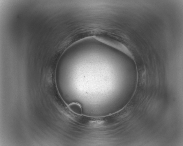 X0000068310266200604241411