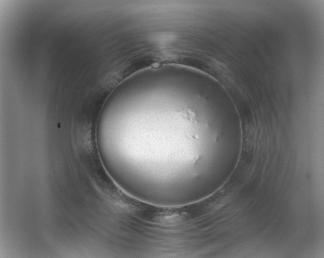 X0000068310267200604241411