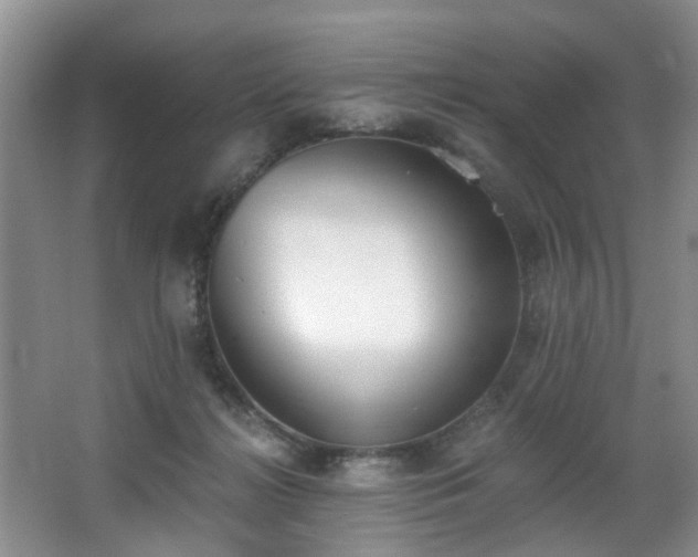 X0000068310268200604241411