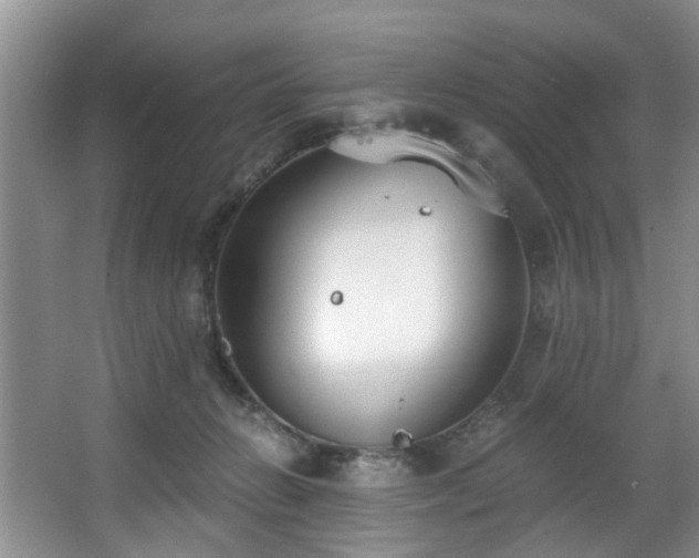 X0000068310270200604241411