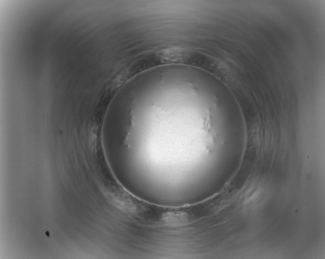 X0000068310271200604241411