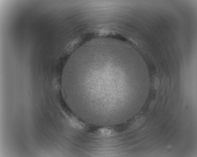 X0000068310272200604241411