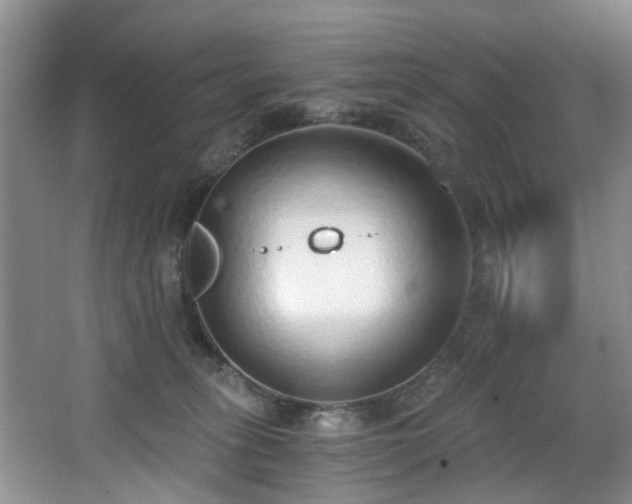 X0000068310275200604241411