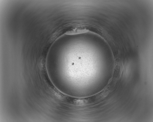 X0000068310277200604241411