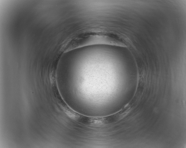 X0000068310285200604241411