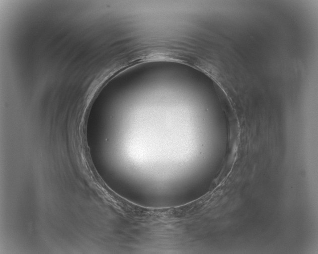 X0000068310289200604241410