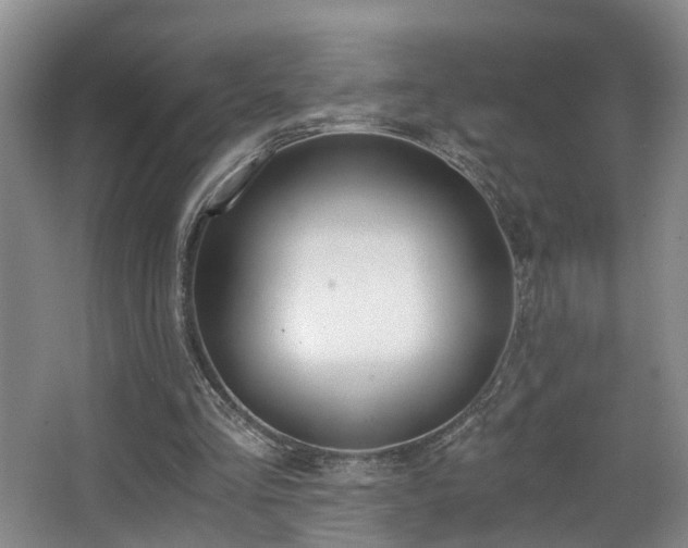 X0000068310293200604241410