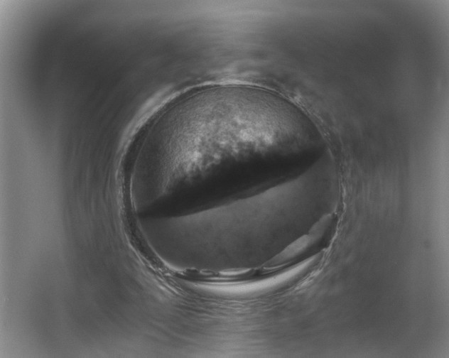 X0000068310295200604241410