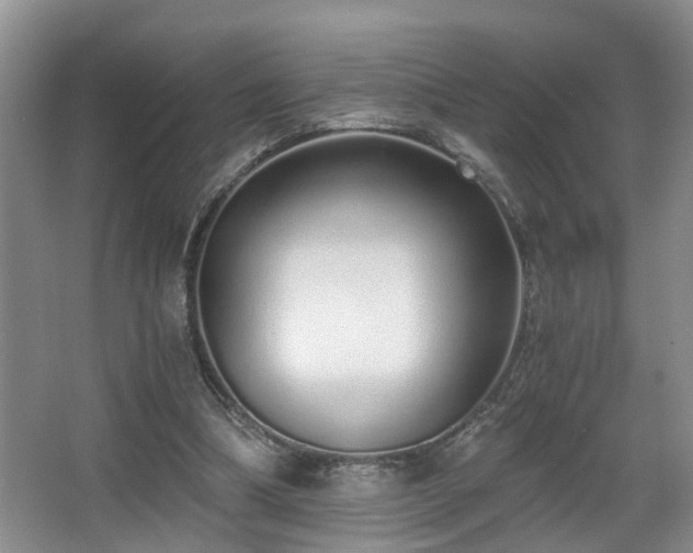 X0000068310298200604241410