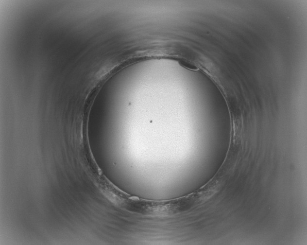 X0000068310301200604241410