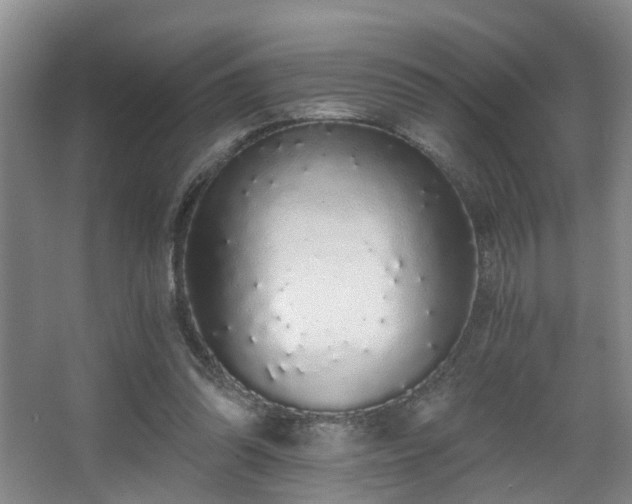 X0000068310302200604241410