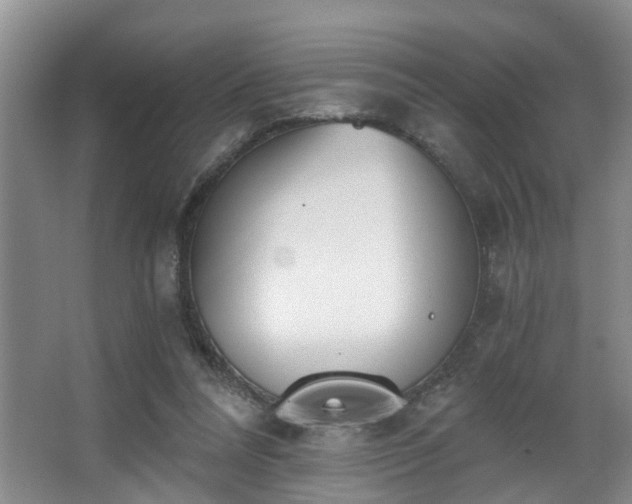 X0000068310304200604241410