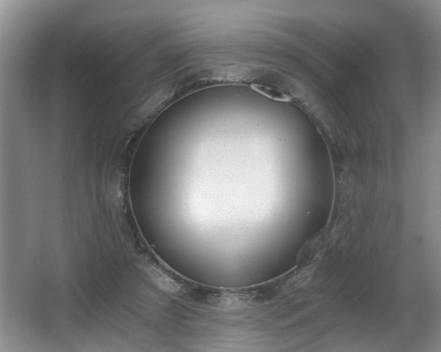 X0000068310305200604241410