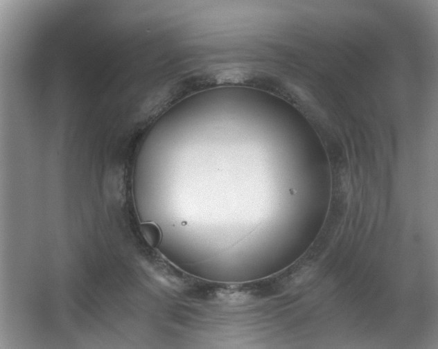 X0000068310311200604241410