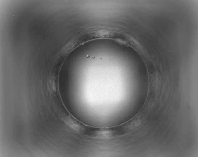 X0000068310313200604241410