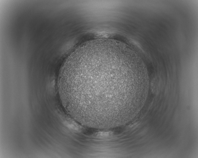 X0000068310314200604241410