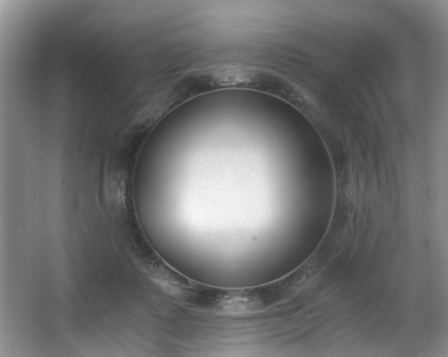 X0000068310315200604241410