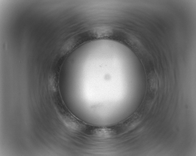 X0000068310316200604241410