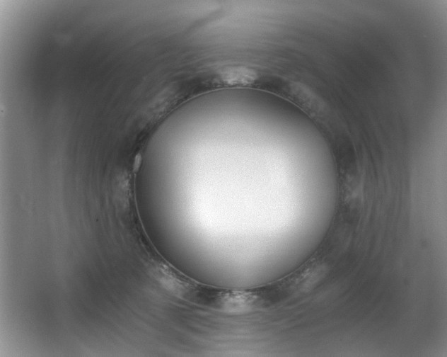 X0000068310321200604241410