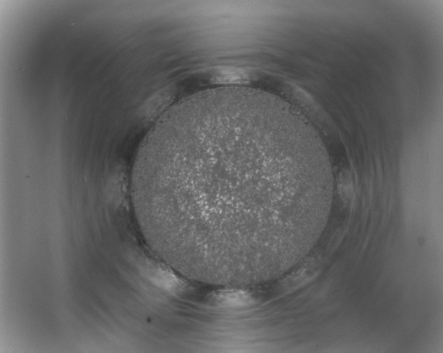 X0000068310322200604241410