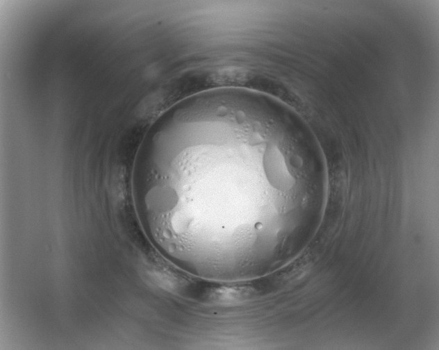 X0000068310323200604241410