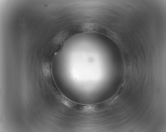 X0000068310335200604241409