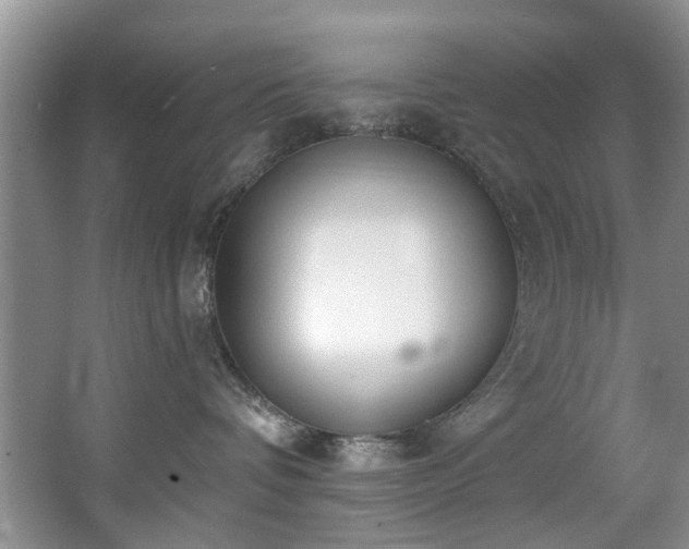 X0000068310336200604241409